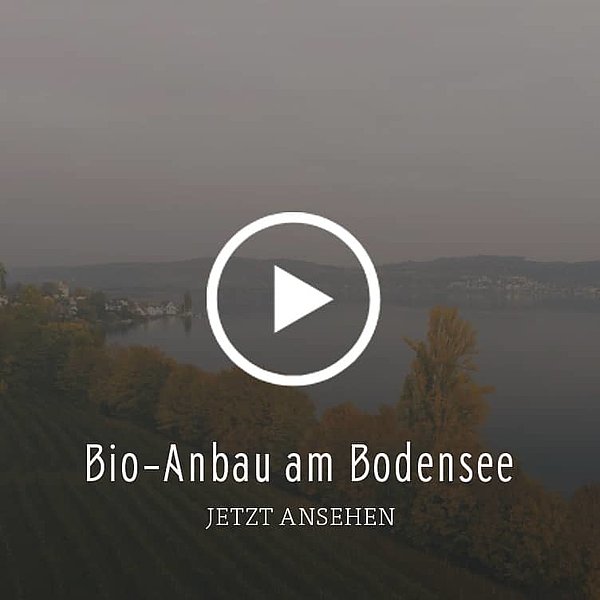 Die Bodenseeregion ist im Bio-Bereich aktiv und der Pionier im Anbau von biologischen Produkten an Kern- und Steinobst.